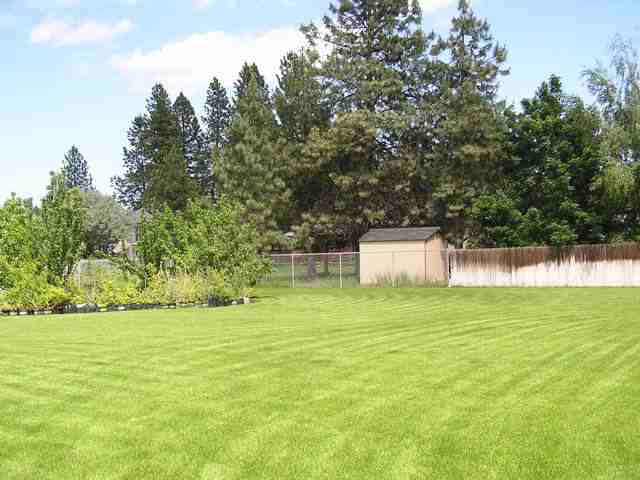 15628  N Freya St - Photo 9