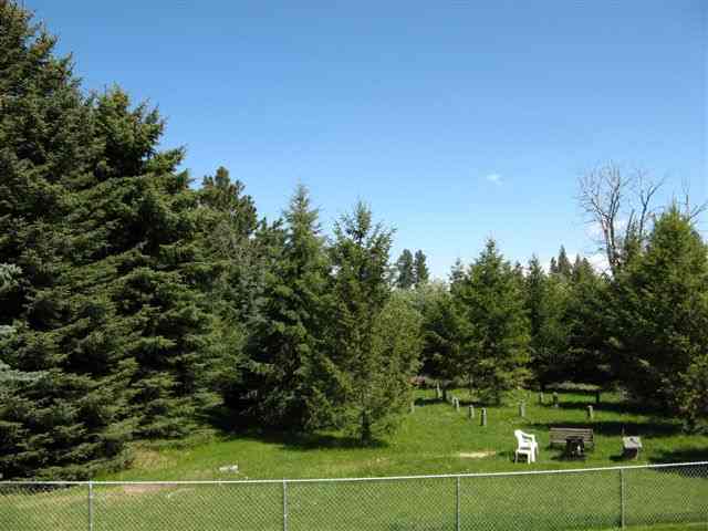 4031  S Forest Meadow Dr - Photo 8