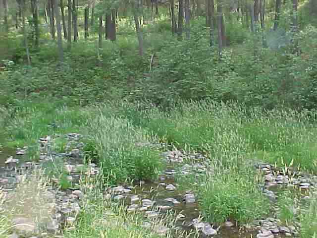 4354 Diekman Way - Photo 3