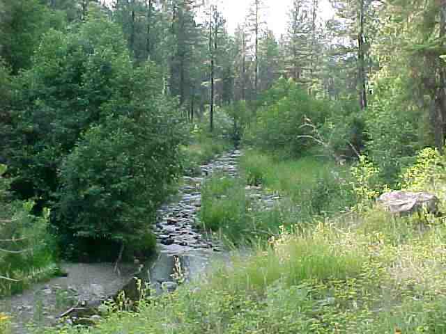 4354 Diekman Way - Photo 4