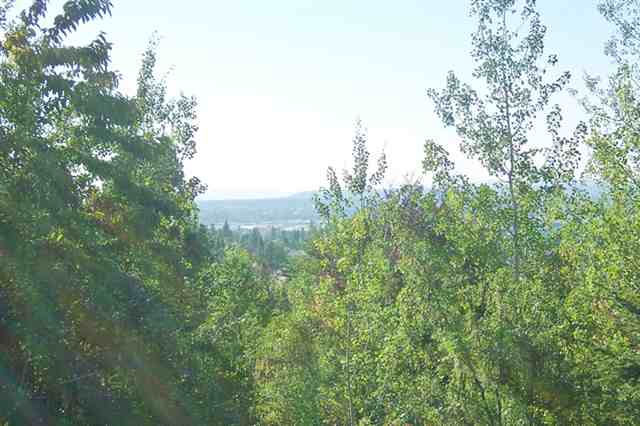 1802  S Carnahan Rd - Photo 9