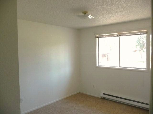 16322 N Sagewood - Photo 6