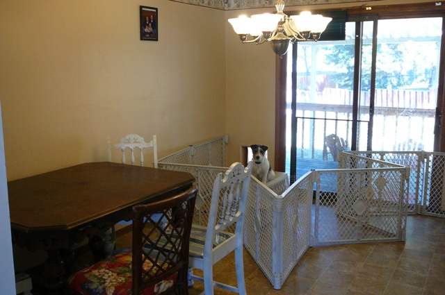 1104  W Excell Dr - Photo 4