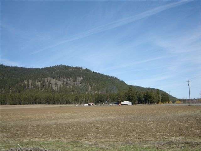 491 Williams Lake Rd - Photo 9