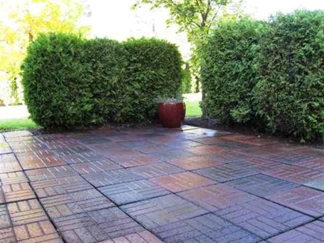 15616  N Sycamore St - Photo 6