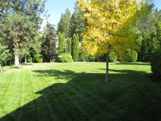 15616  N Sycamore St - Photo 9