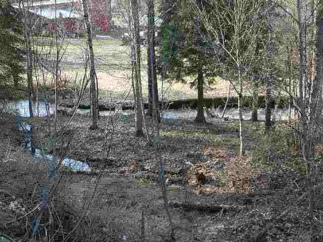 25302  N River Terrace Rd - Photo 9