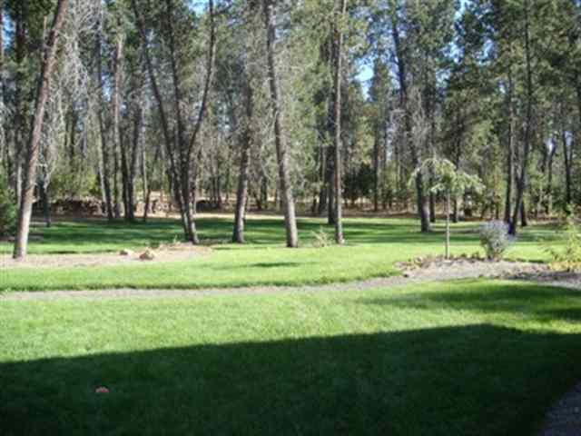 2210  E Whispering Springs Lane - Photo 4