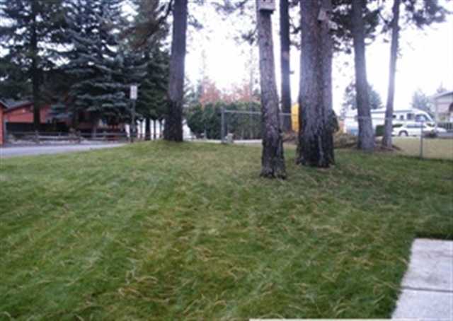 1003  N Margaret - Photo 9