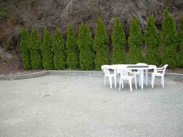 728  S Basalt - Photo 7