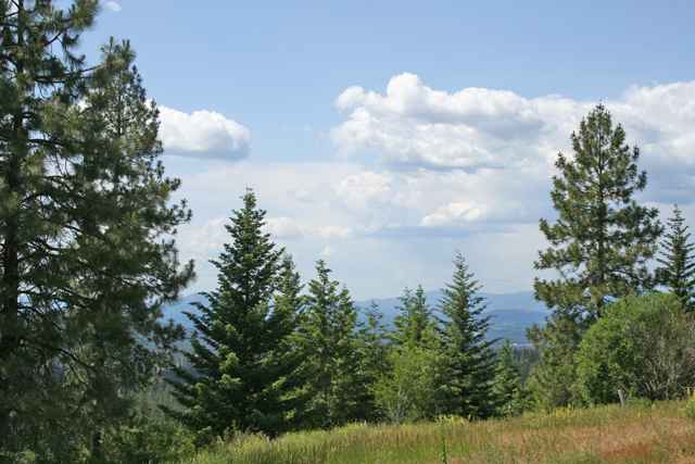 14117  E Deer Creek Rd - Photo 9