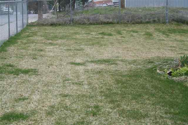 10103  E 15th - Photo 9