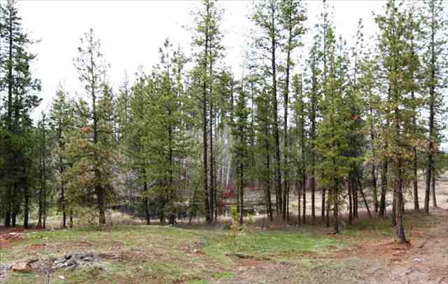 22222 W Baker - Photo 9
