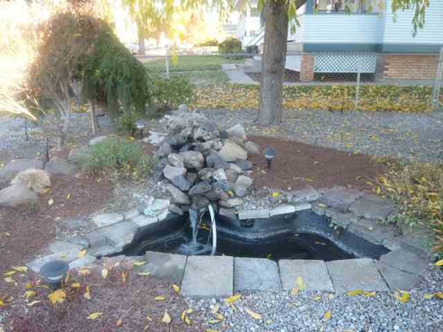 823  W Jackson Ave - Photo 9