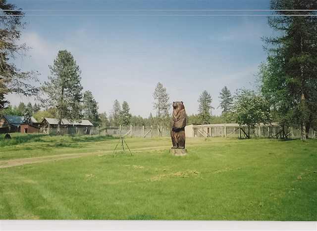 37117 N Valley Rd - Photo 3