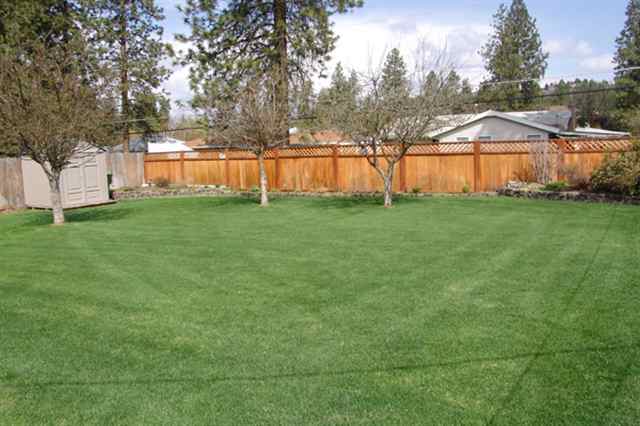 3032  W Rosewood Ave - Photo 8