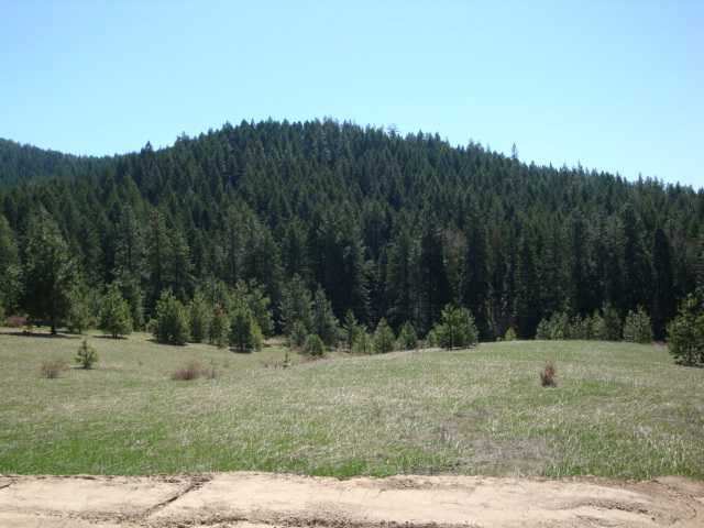16717  E Washington Rd - Photo 3