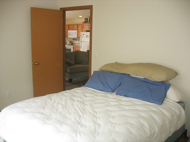 304  N Dick Rd - Photo 5