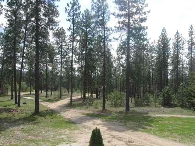 5506A  S Swenson Rd - Photo 5