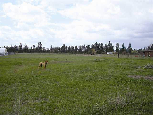 1625  N Flora Rd - Photo 8