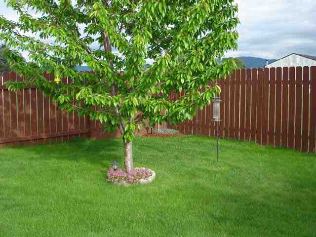 17628  E 4th Ave - Photo 7