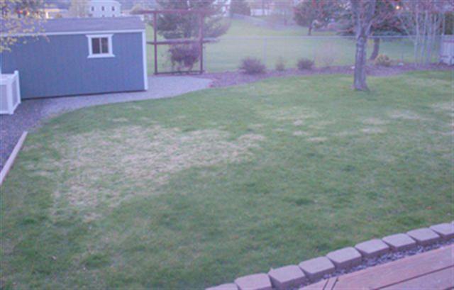 3410  S Van Marter Rd - Photo 6