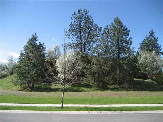 24939 E Ludlow - Photo 9