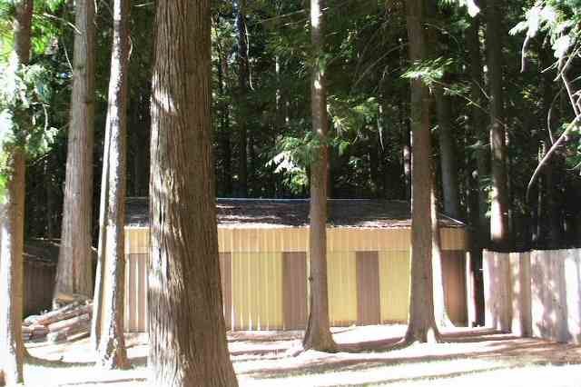 13725  N Peninsula Dr - Photo 9