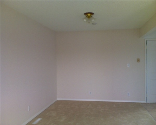 3717 ERMINA - Photo 4