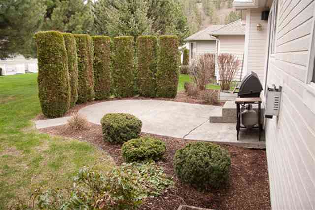 614  E Bridlewood Ct - Photo 7