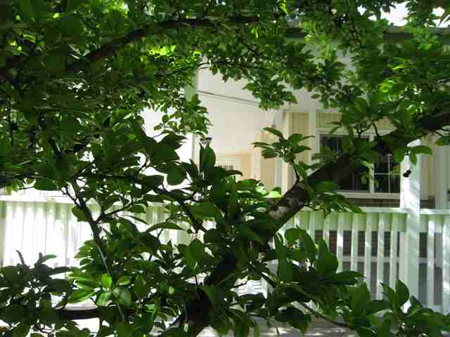 2924  W Garland Ave - Photo 7