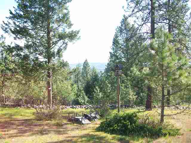 18906  N South Bank Rd - Photo 3