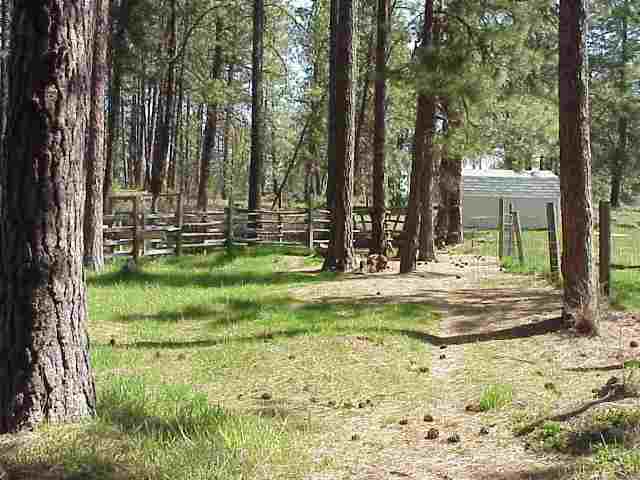 14922  S Carstens Rd - Photo 5