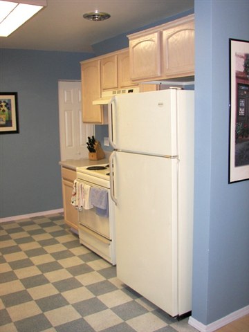1117  W Alice Ave - Photo 3