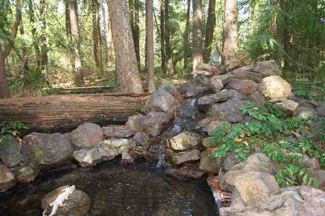5426  W Crosscut Rd - Photo 5