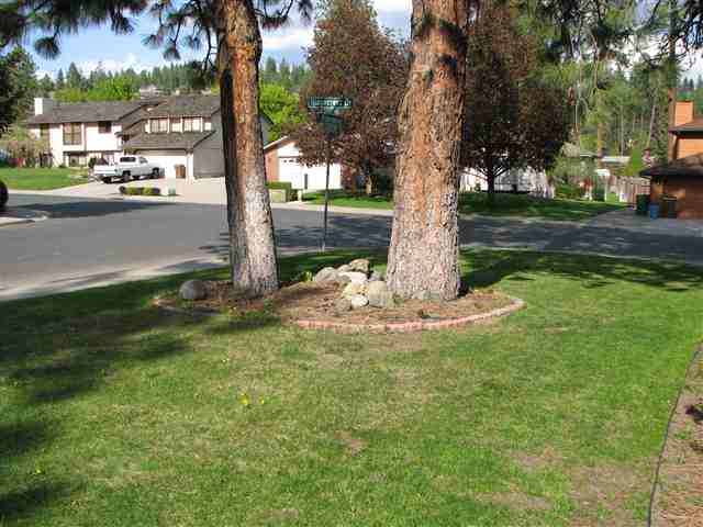 5203  W Alderwood Ave - Photo 8