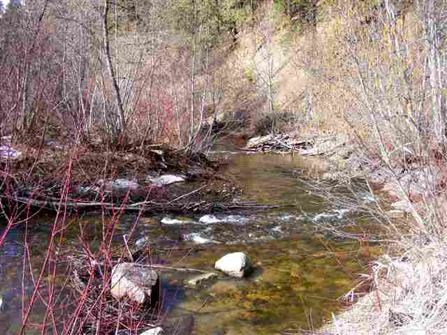 1163 Arden Way - Photo 2