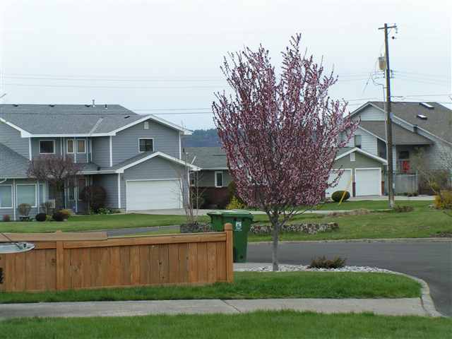 2105 W Mansfield Ct - Photo 9