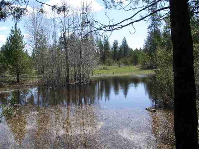 182 Rocky Gorge Rd - Photo 4