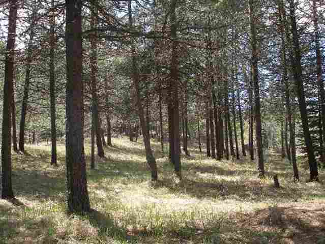 182 Rocky Gorge Rd - Photo 7