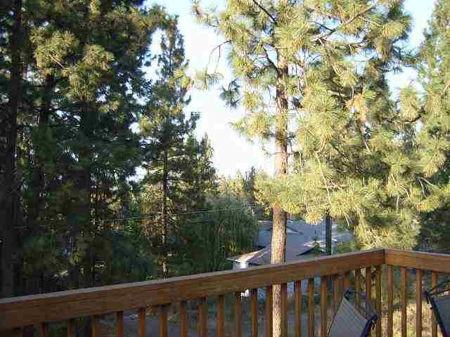 4009 E Funk - Photo 9
