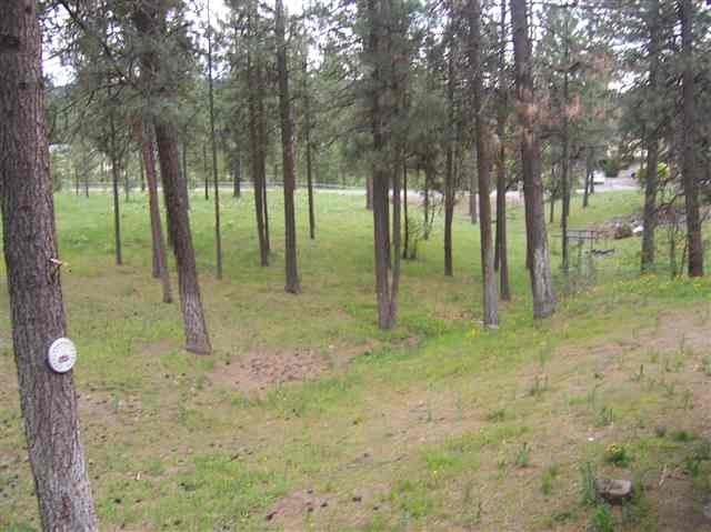 17005 Mockingbird Ln - Photo 7