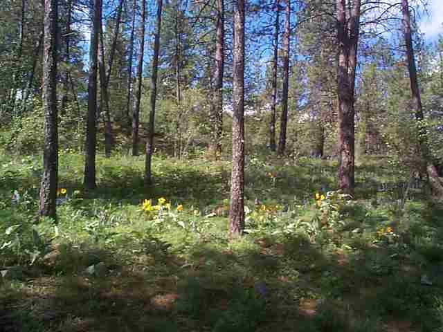 10811  S Andrus Rd - Photo 8