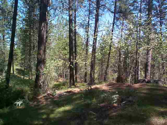 10811  S Andrus Rd - Photo 9
