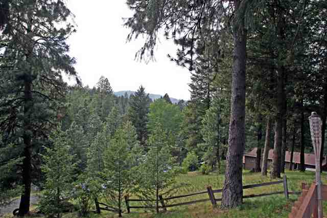 5420  S Cree Dr - Photo 9