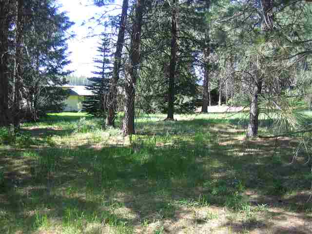 1905  E CENTER Rd - Photo 8