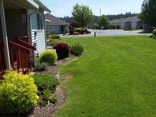 1820  S Newer Ln - Photo 9