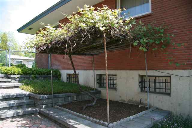 3405  W BRUCE Ave - Photo 5