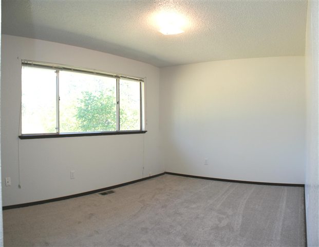 16108  N Sunrise Dr - Photo 8