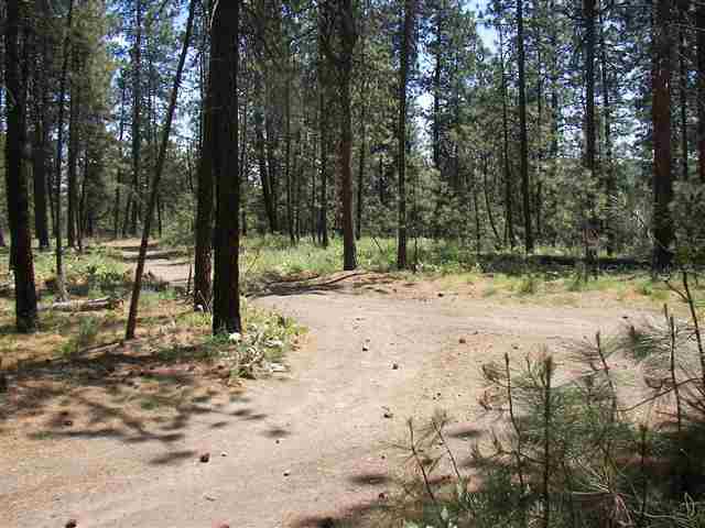 1314  E GLENCREST Dr - Photo 5